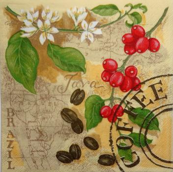 027 Coffee: Beans - 3-ply - Stewo